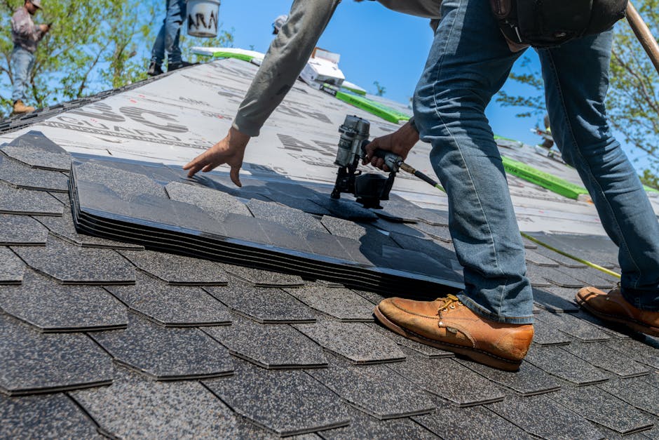 cost of replacing shingle roof